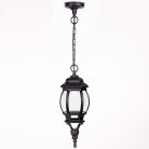Уличный светильник подвесной Oasis Light 83405S Bl