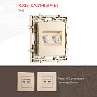 Розетка RJ45 х 2 Arte Milano 217.45-2.shampan am