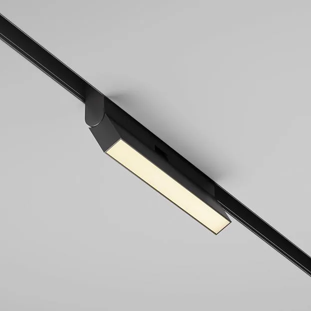 Трековый светильник Technical Maytoni TR036-2-12W2.7K-B Basis Rot