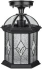 Потолочный светильник уличный Oasis Light 92605A Bl SORENTO