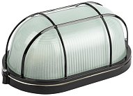 Настенно-потолочный светильник ЭРА НБП 04-100-002 черный