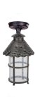 Потолочный светильник уличный Oasis Light 81505A R CAIOR 1