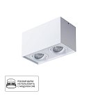 Светильник Потолочный Arte Lamp A5544PL-2WH FACTOR