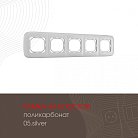 Рамка из поликарбоната на 5 постов Arte Milano 505.05-5.silver am