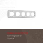 Рамка из поликарбоната на 5 постов Arte Milano 505.05-5.silver am