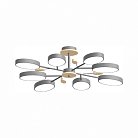Потолочный cветильник LED4U L3221-850 GR