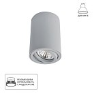 Светильник Потолочный Arte Lamp A1560PL-1GY