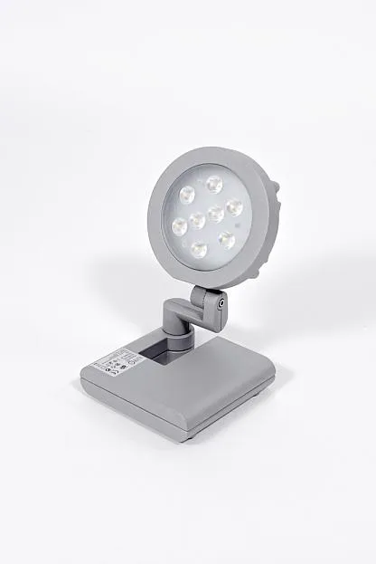 Прожектор уличный Oasis Light W6102S S