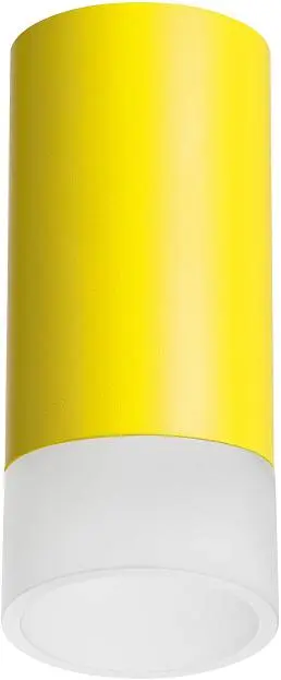 Накладной светильник Lightstar R43331 Rullo Накладной светильник Lightstar R43331 Rullo