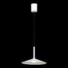 Подвесной светильник Lussole  LSP-7432 REFUGIO 