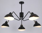 Люстра на штанге Rivoli 4101-305 Geraldine Б0055672