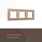 Рамка из поликарбоната на 3 поста Arte Milano 503.03-3.shampan am