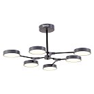 Светильник потолочный Серый, Черный/Серый LED 6*10W Evoluce SLE6003-702-06 Monta