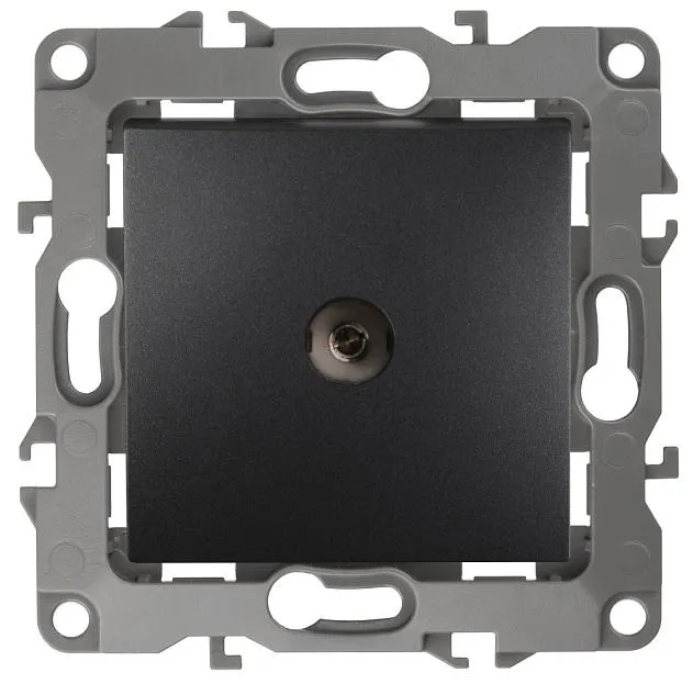 Розетка ЭРА 12-3101-05