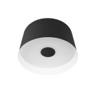 Потолочный светильник Loft IT 10360S Black Duo