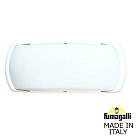 Уличное бра FUMAGALLI FRANCY-OP 2A1.000.000.WYF1R