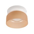 Потолочный светильник Loft IT 10466 Amber matte Totem