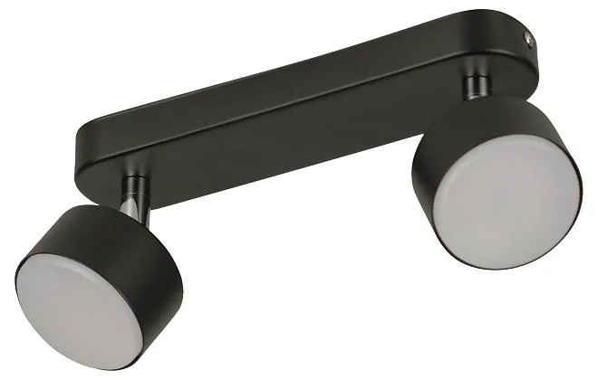 Светильник настенно-потолочный спот Rivoli 7079-702 Alesta