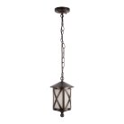 Уличные подвесные светильники Loft IT 100016P Ravenna