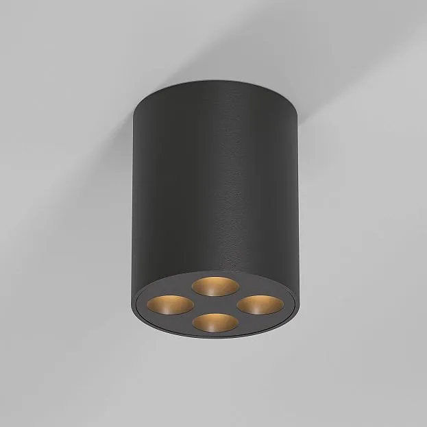 Потолочный акцентный светильник Elektrostandard 25111/LED Points a067484