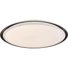 Светильник потолочный Globo 41359-40RGBSH Xaver