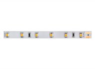 Светодиодная лента Donolux DL-18321/N.White-24-60