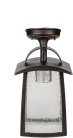 Потолочный светильник уличный Oasis Light 2736 05A R FRANKFURT I