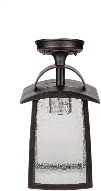 Потолочный светильник уличный Oasis Light 2736 05A R FRANKFURT I Потолочный светильник уличный Oasis Light 2736 05A R FRANKFURT I