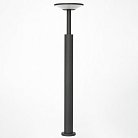 Уличный парковый светильник Графит LED Citilux CLU05B Dorn