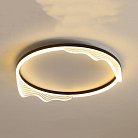 Потолочный светильник IZELIN D40 Black ImperiumLoft 223812-23 izelin01