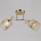 Потолочная люстра Reluce 04481-0.3-02 FGD