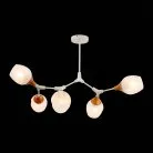 Потолочная люстра EVOLUCE SLE113502-05 CIOTOLLA
