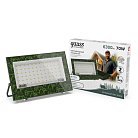 Прожектор уличный Gauss GFD005