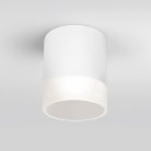 Уличный потолочный светильник Elektrostandard 35140/H белый Light LED a057160