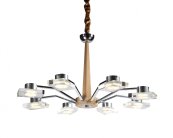 Подвесная люстра Lucia Tucci Natura 070.8 LED