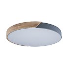 Потолочный светильник Loft IT 10004/36 grey Axel