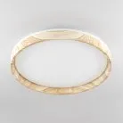 Светильник с пультом Клён Citilux CL753452G ENZO