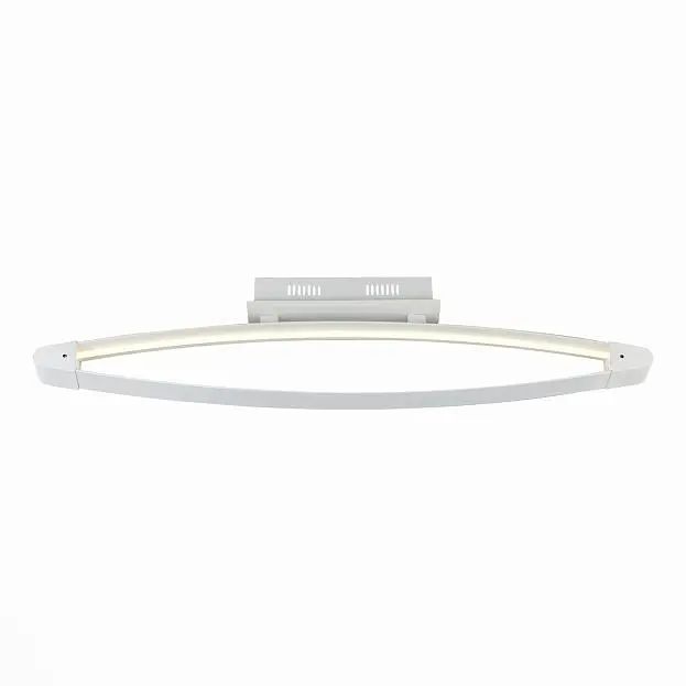 Потолочная люстра ST Luce SL920 SL920.102.01 Потолочная люстра ST Luce SL920 SL920.102.01