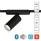 Светильник Потолочный Arte Lamp A2958PL-1BK RAPID