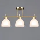 Потолочная люстра Reluce 06417-0.3-03 COP