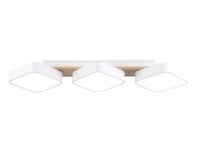 Потолочный светильник Ambrella light FL4877