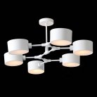 Потолочная люстра Evoluce SLE183502-06 Gimento