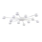 Потолочная люстра Lumion 8343/12C TORINA