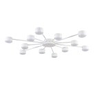 Потолочная люстра Lumion 8343/12C TORINA