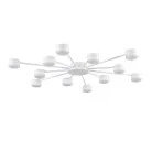 Потолочная люстра Lumion 8343/12C TORINA