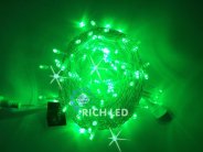Гирлянда Rich LED RL-S10CF-24V-T/G
