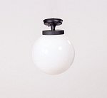 Потолочный светильник уличный Oasis Light 88205LA Bl GLOBO L