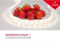 Буклет Arlight 038910(22)
