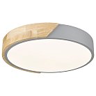 Потолочный светильник Velante 445-207-01