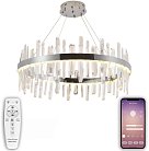 Подвесная люстра NATALI KOVALTSEVA LED LAMPS 81257